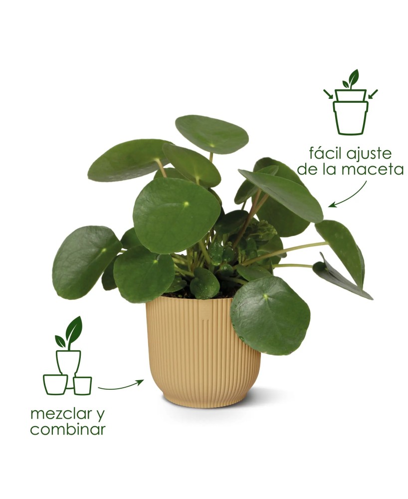 Maceta Vibes Fold Redonda 30cm Antracita Comprar Endanea Garden