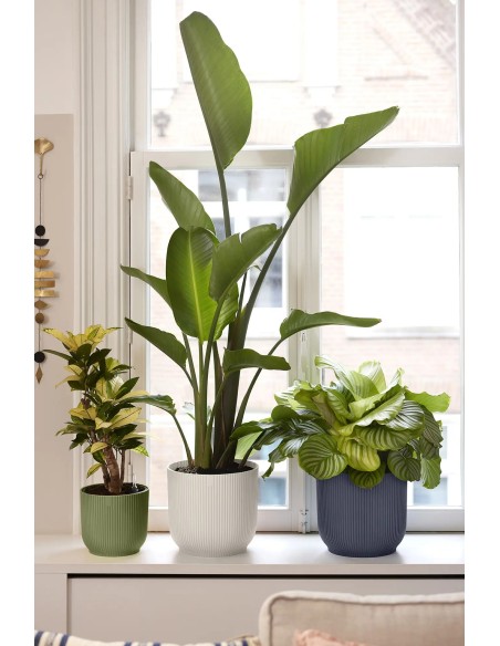 Maceta Vibes Fold Redonda 30cm Blanco Lino Comprar Endanea Garden