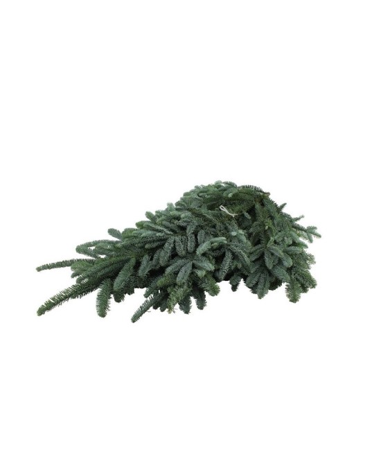 Cinta Sujecion Abies Nobilis Whiteband 5kg Verde Atadora Arboles