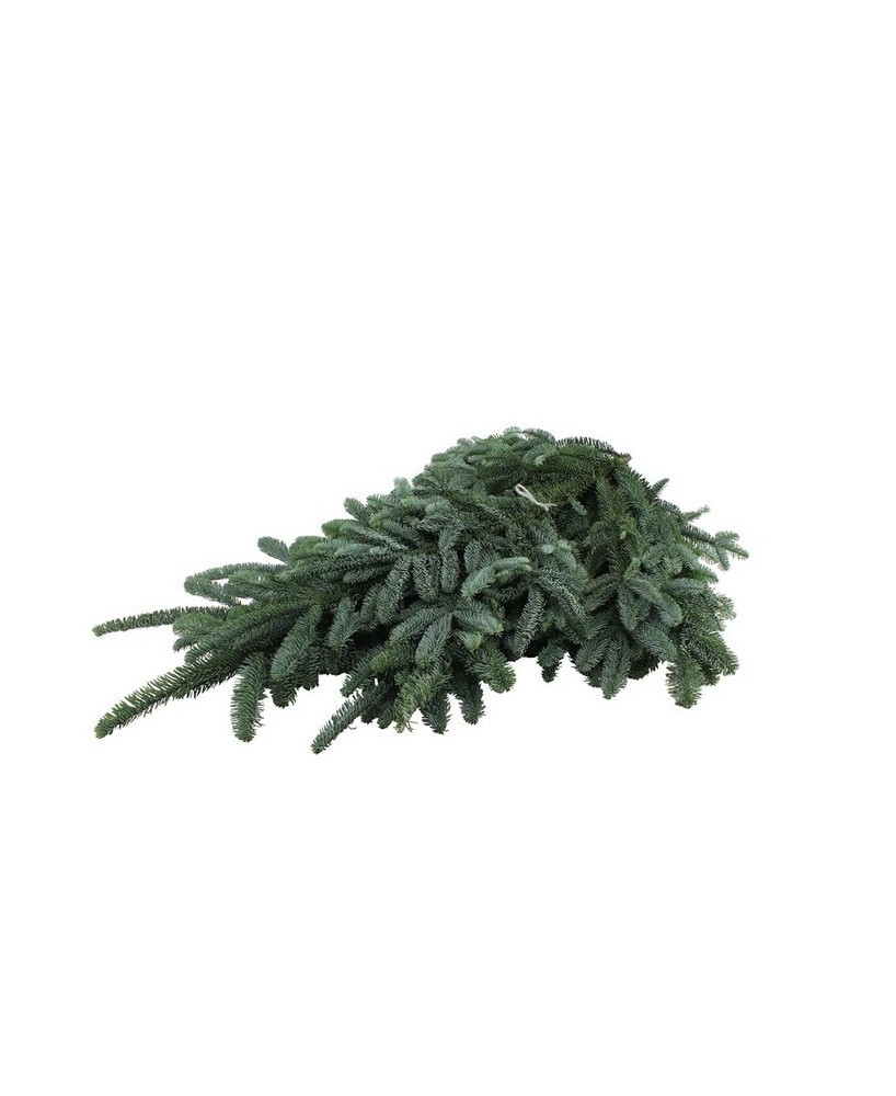 Cinta Sujecion Abies Nobilis Whiteband 5kg Verde Atadora Arboles