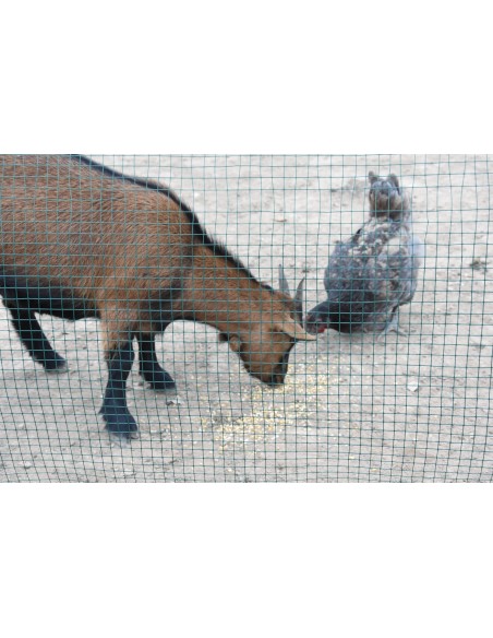 Malla Metálica Cuadrada Plastificada 1,00x5M 13MM para Jardines y Huertos