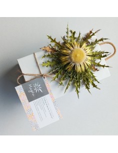 EGUZKILORE MAGHU PEQUEÑO