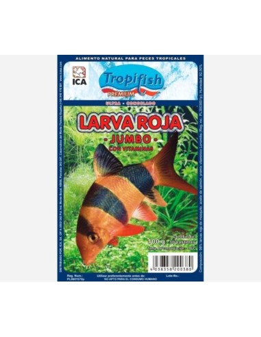 LARVA ROJA MOSQUITO JUMBO 100GR