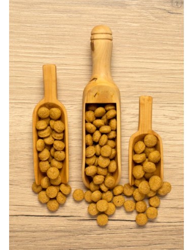 PSITTACUS ALTA ENERGIA 800GR (PI-1210)