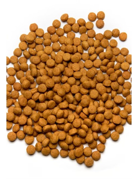 PSITTACUS ALTA ENERGIA 800GR (PI-1210)