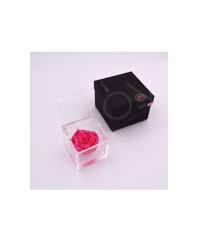 Flowercube Rosa 8x8 Packaging Rosa Rosa Preservada Regalo Elegante y Duradero