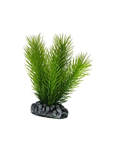 Planta Mayaca 17CM Artificial para Acuario Decoración Realista