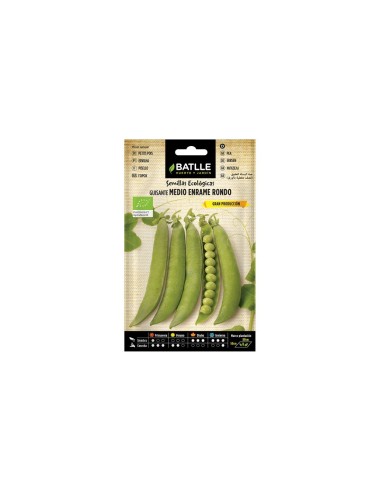 Semillas ecológicas de guisante Rondo | Cultivo urbano y huerto sostenible