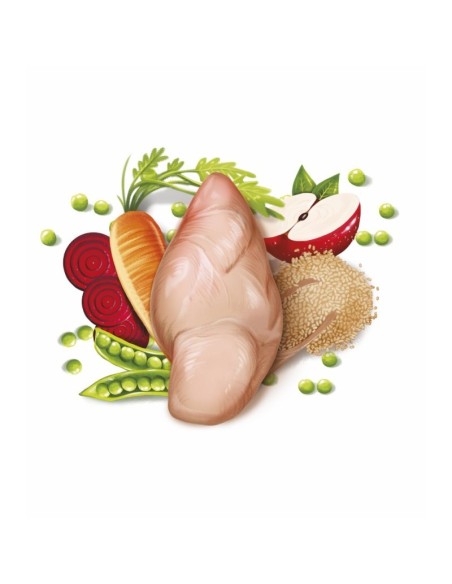 Fresh Mediterranean Blend Adult Complete 12KG Alimento Completo para Perros Adultos