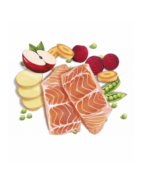 Fresh Mediterranean Blend Adult Sensitive 12KG alimento completo para perros adultos con digestión sensible