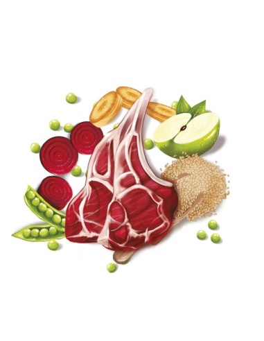 Fresh Mediterranean Blend Adult Lamb 12KG alimento para perros adultos con cordero