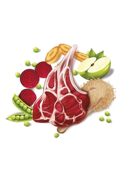 Fresh Mediterranean Blend Adult Lamb 12KG alimento para perros adultos con cordero