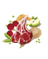 Fresh Mediterranean Blend Adult Lamb 12KG alimento para perros adultos con cordero