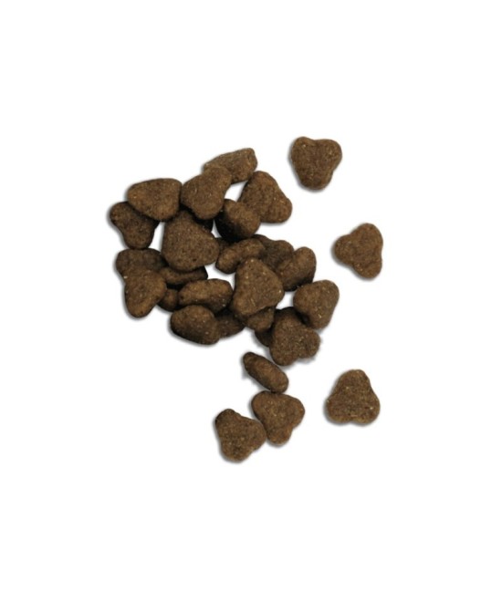 Fresh Mediterranean Blend Adult Lamb 12KG alimento para perros adultos con cordero