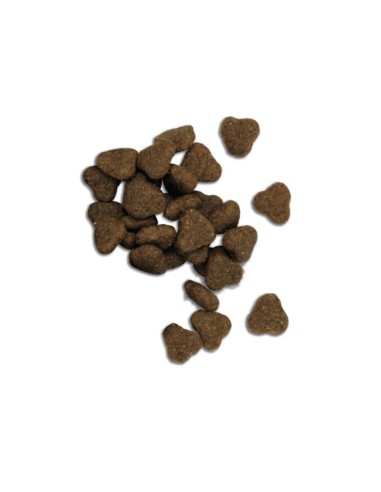 Fresh Mediterranean Blend Adult Lamb 12KG alimento para perros adultos con cordero