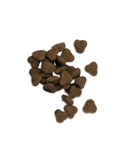 Fresh Mediterranean Blend Adult Lamb 12KG alimento para perros adultos con cordero