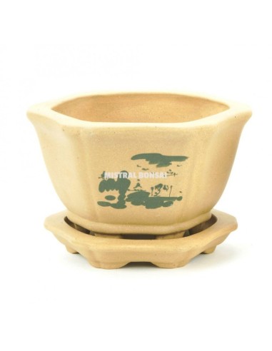 Tiesto Cuadrado con Plato Xiam 13.5x13.5x11cm | Elegante y Funcional | Endanea Garden

