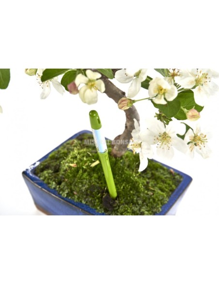 Aquameter Indicador de Riego Talla M | Controla la Humedad del Suelo | Endanea Garden

