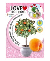 Albaricoque Enano Garden Aprigold 7L Prunus armeniaca para Jardines Pequeños