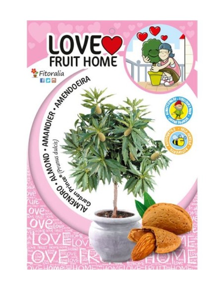 Almendro Enano Garden Prince 7L Prunus dulcis para Jardines Pequeños