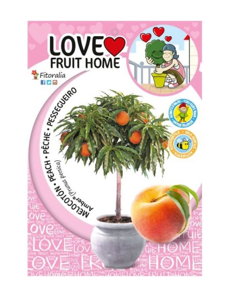 Melocotonero Enano Amber Diamond 7L Prunus persica para Terrazas y Jardines Pequeños