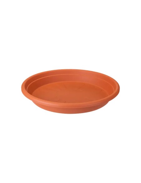 Plato Redondo Universal 19cm Rojo ideal para hogar platos principales y ensaladas