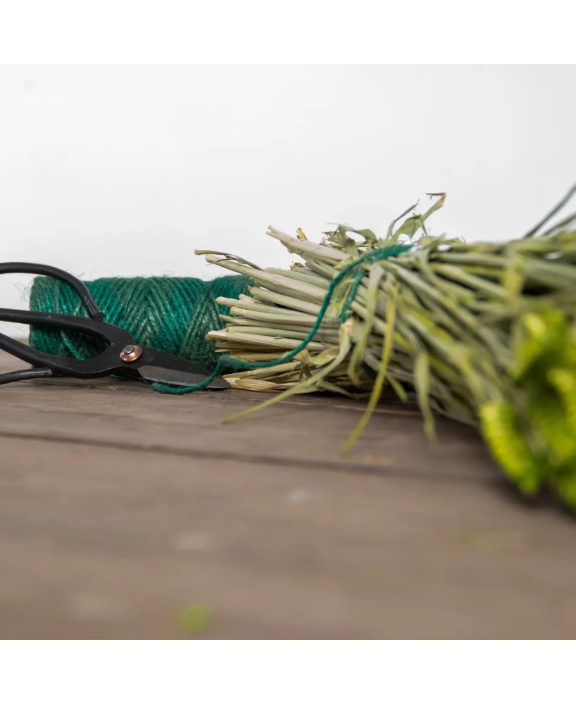 Set de Cuerda y Tijeras Gifset para Manualidades Jardinería y Embalaje