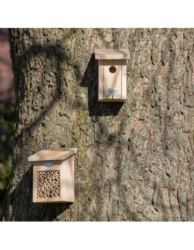 Casa refugio para aves en invierno | Protección y abrigo exterior