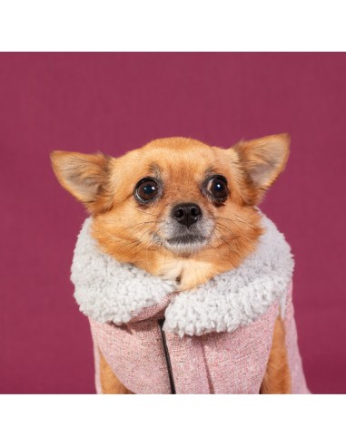 Yagu Moda Bomber Rosa T-45 Chaqueta Moderna y Versátil