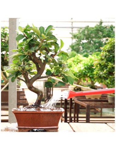 Regadera Bonsái plástico 0,9L roja Mistral para riego preciso