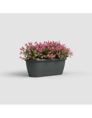 Jardinera Algarve pared 40 cm antracita maceta moderna resistente
