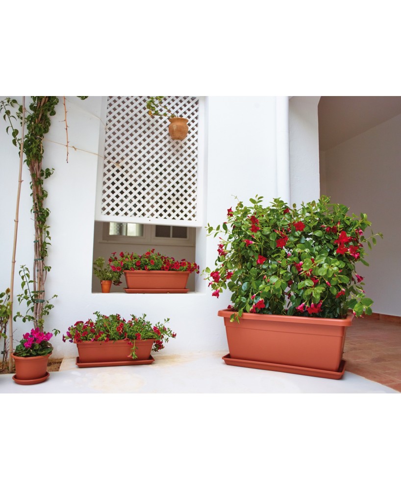 Jardinera Venezia 40 cm Antracita Maceta Decorativa para Exterior e Interior
