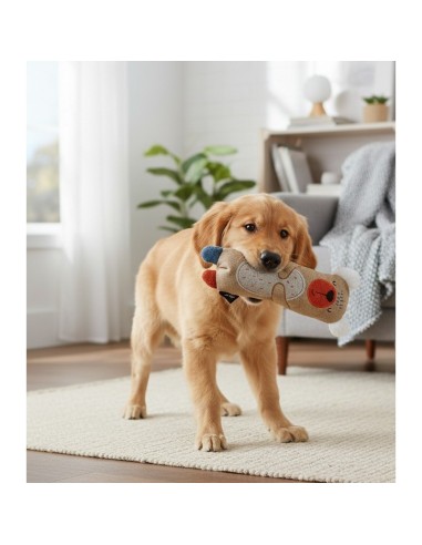 TB Oso con Botella de Plástico  Juguete Interactivo para Perros | Endanea Mascotas