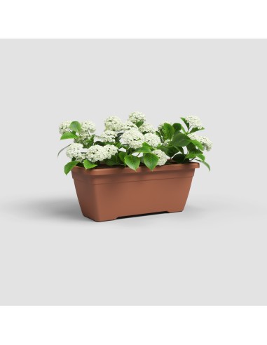 Jardinera Venezia 40cm Terracota  Maceta Resistente y Elegante para Interiores y Exteriores