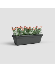 Jardinera Venezia Balcon RA Kit 50 cm Antracita - Maceta Moderna para Balcones y Terrazas 2