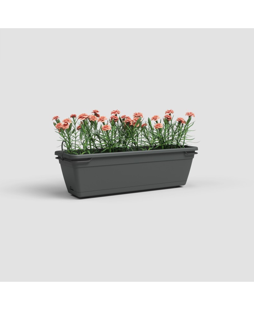Jardinera Venezia Balcon RA Kit 50 cm Antracita - Maceta Moderna para Balcones y Terrazas