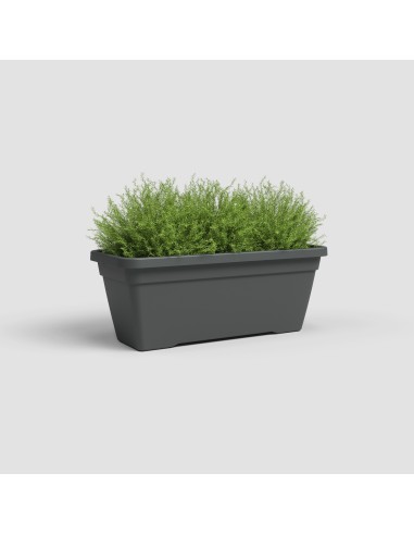 Jardinera Venezia L 60 cm Antracita - Maceta Elegante y Funcional para Balcones y Terrazas