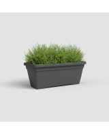 Jardinera Venezia L 60 cm Antracita - Maceta Elegante y Funcional para Balcones y Terrazas