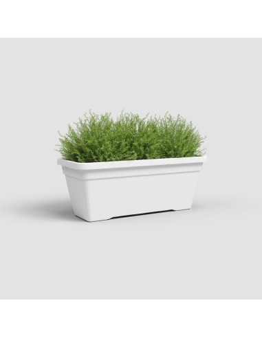 Jardinera Venezia L 60 cm Blanco - Maceta Grande y Moderna para Balcones y Terrazas
