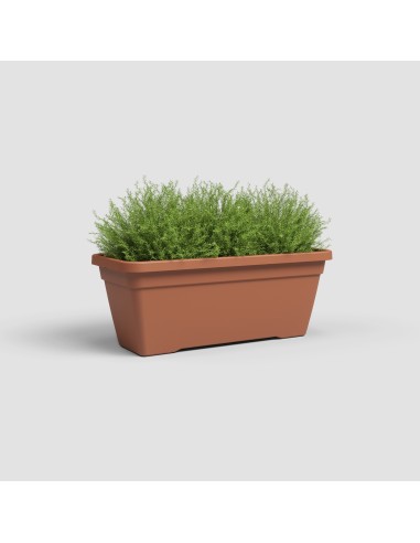 Jardinera Venezia L 60 cm Terracota - Maceta Grande y Natural para Balcones y Terrazas