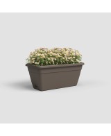 Jardinera Venezia RA 50 cm Bronce | Maceta Elegante para Balcones y Terrazas | Endanea Mascotas