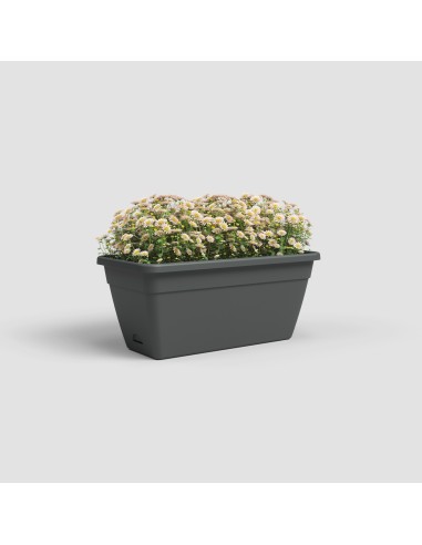 Jardinera Venezia RA 60 cm Antracita | Maceta Elegante para Balcones y Terrazas