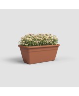 Jardinera Venezia RA 60 cm Terracota - Maceta Elegante y Funcional para Balcones, Terrazas y Jardines