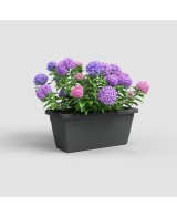 Jardinera Venezia XL 60cm Antracita - Diseño Elegante y Resistente para tu Jardín