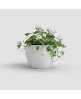 Maceta Algarve Pared 30cm Blanco - Decoración Funcional para Jardines Verticales y Terrazas