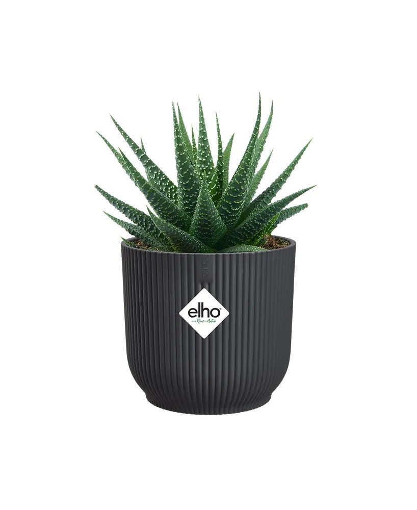 MACETA VIBES FOLD REDONDA MINI 7CM ANTRACITA
