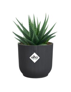 MACETA VIBES FOLD REDONDA MINI 9CM ANTRACITA 2