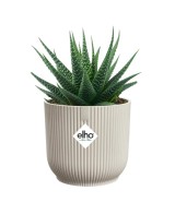 MACETA VIBES FOLD REDONDA MINI 9CM BLANCO LINO