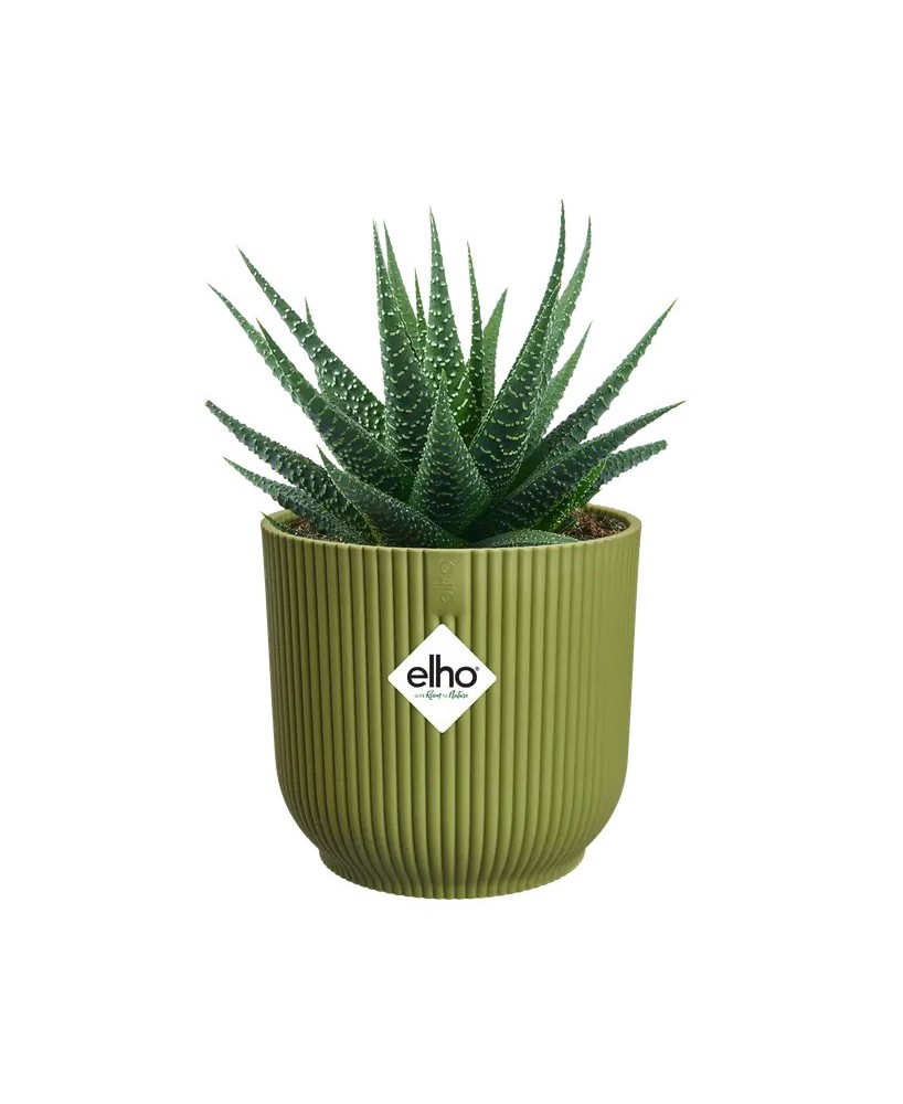 MACETA VIBES FOLD REDONDA MINI 9CM VERDE HELECHO