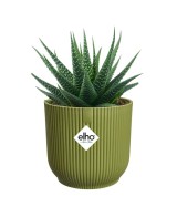 MACETA VIBES FOLD REDONDA MINI 9CM VERDE HELECHO